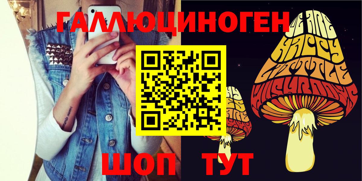 Галлюциногенные грибы прущие грибы  Псилоцибиновые грибы мицелий  цены   Тулун  Вход с VPN 