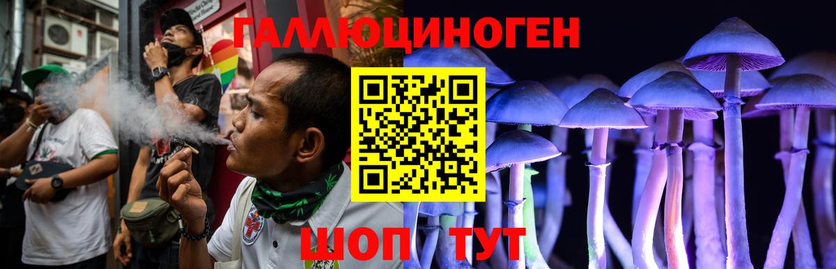 Галлюциногенные грибы MAGIC MUSHROOMS Тулун