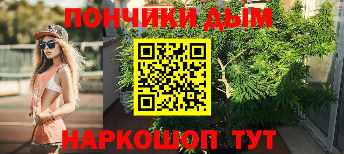 Шишки марихуана конопля  Конопля план  Шишки марихуана Ganja  Вход с VPN  Тулун 